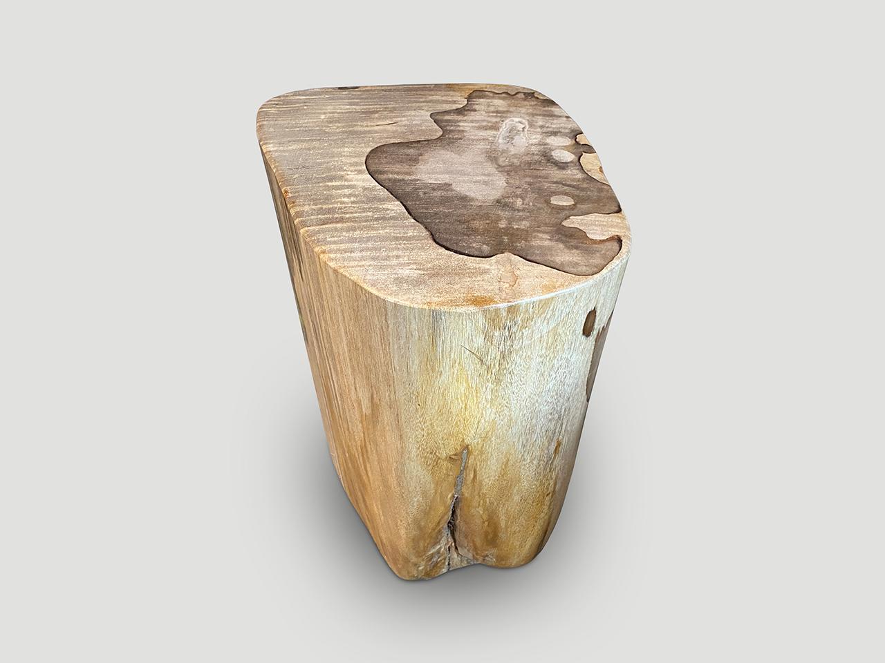 Andrianna Shamaris High Quality Petrified Wood Side Table For Sale 2
