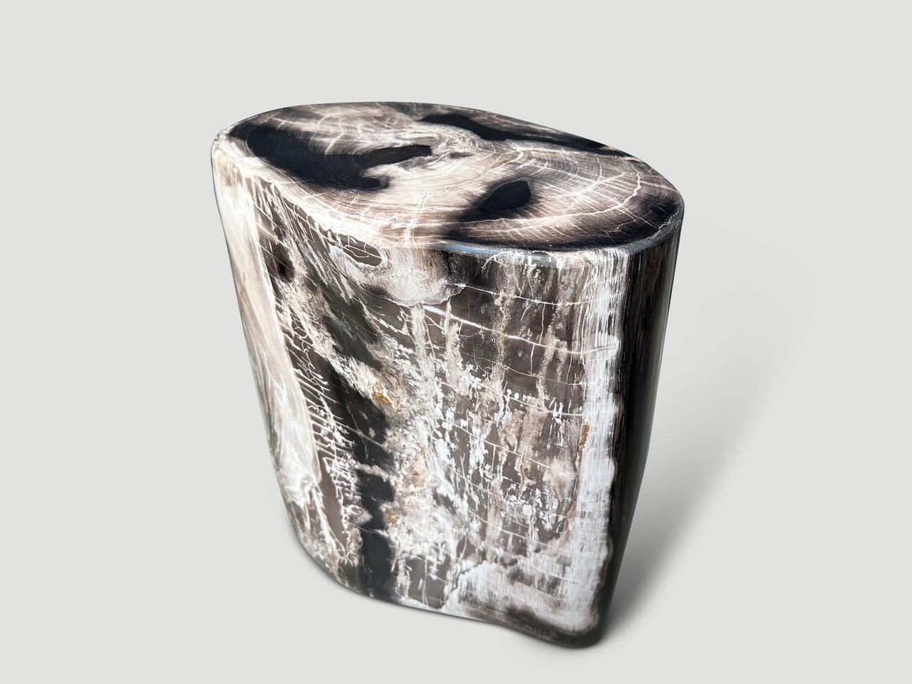 Andrianna Shamaris High Quality Petrified Wood Side Table 2