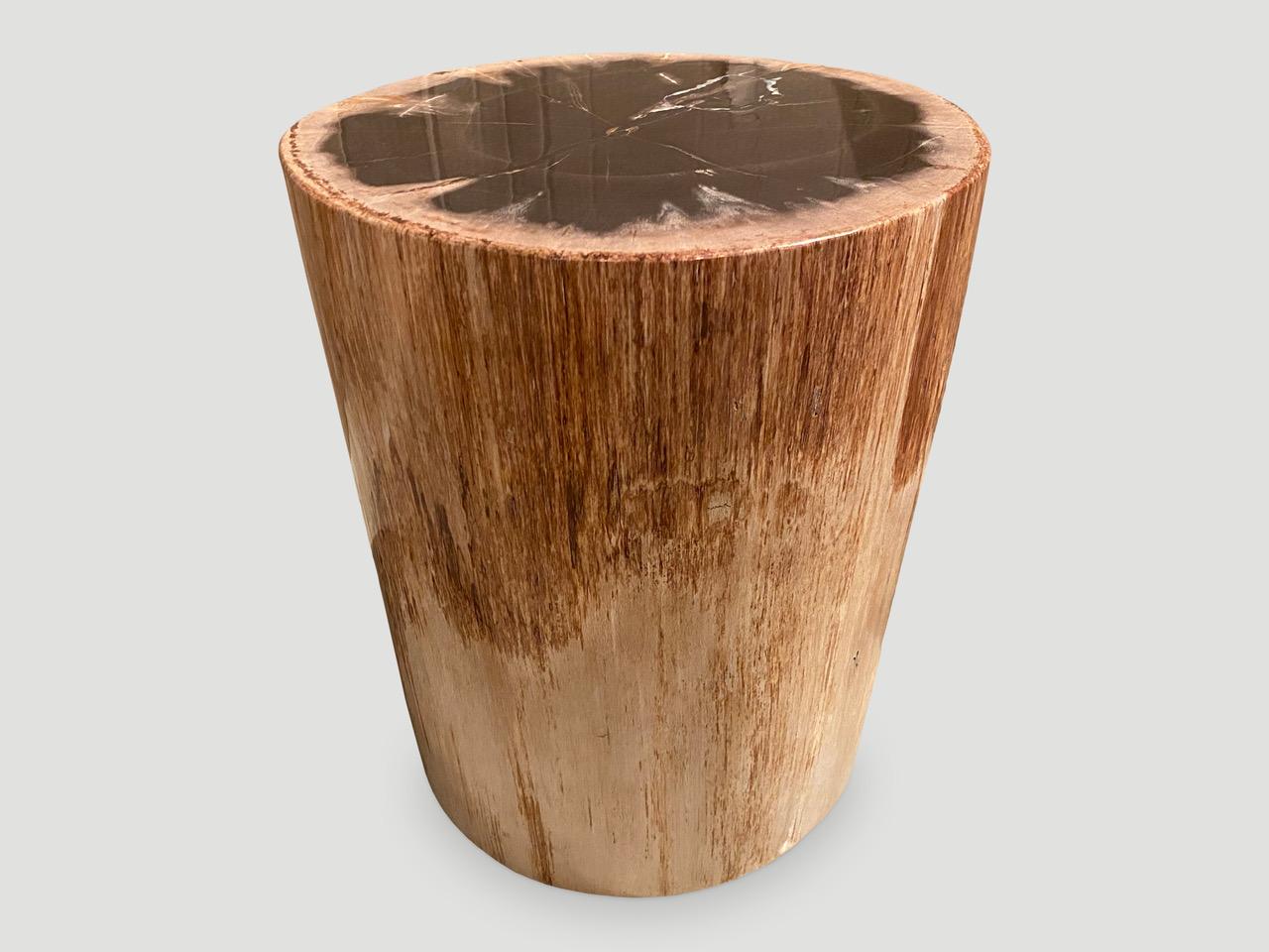 Beistelltisch aus versteinertem Holz von hoher Qualität im Angebot 3