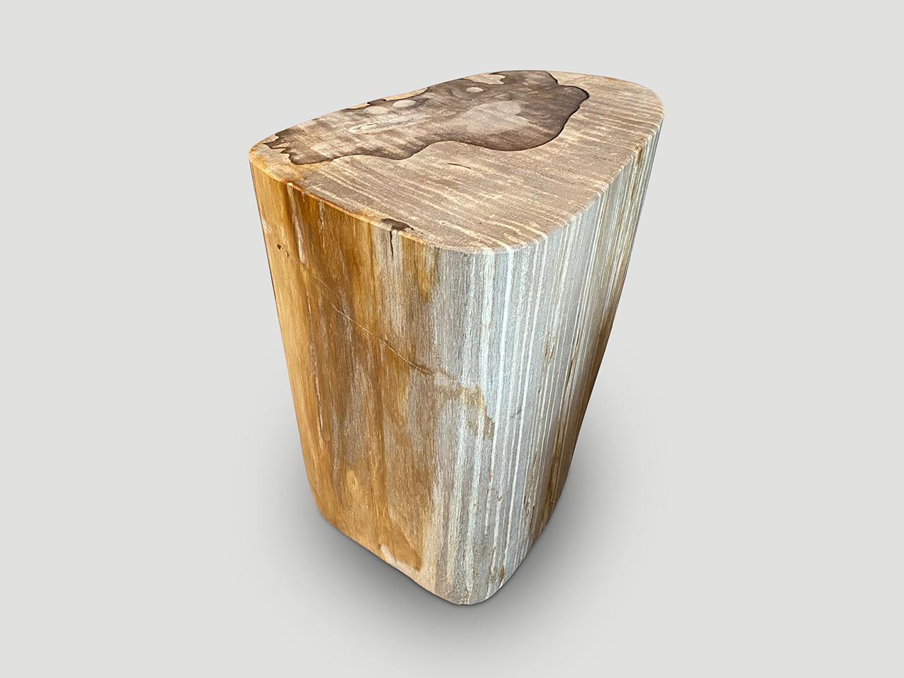 Andrianna Shamaris High Quality Petrified Wood Side Table For Sale 3