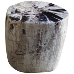 Antique Andrianna Shamaris High Quality Petrified Wood Side Table