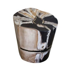 Andrianna Shamaris High Quality Petrified Wood Side Table Andrianna Shamaris High Quality Petrified Wood Side Table