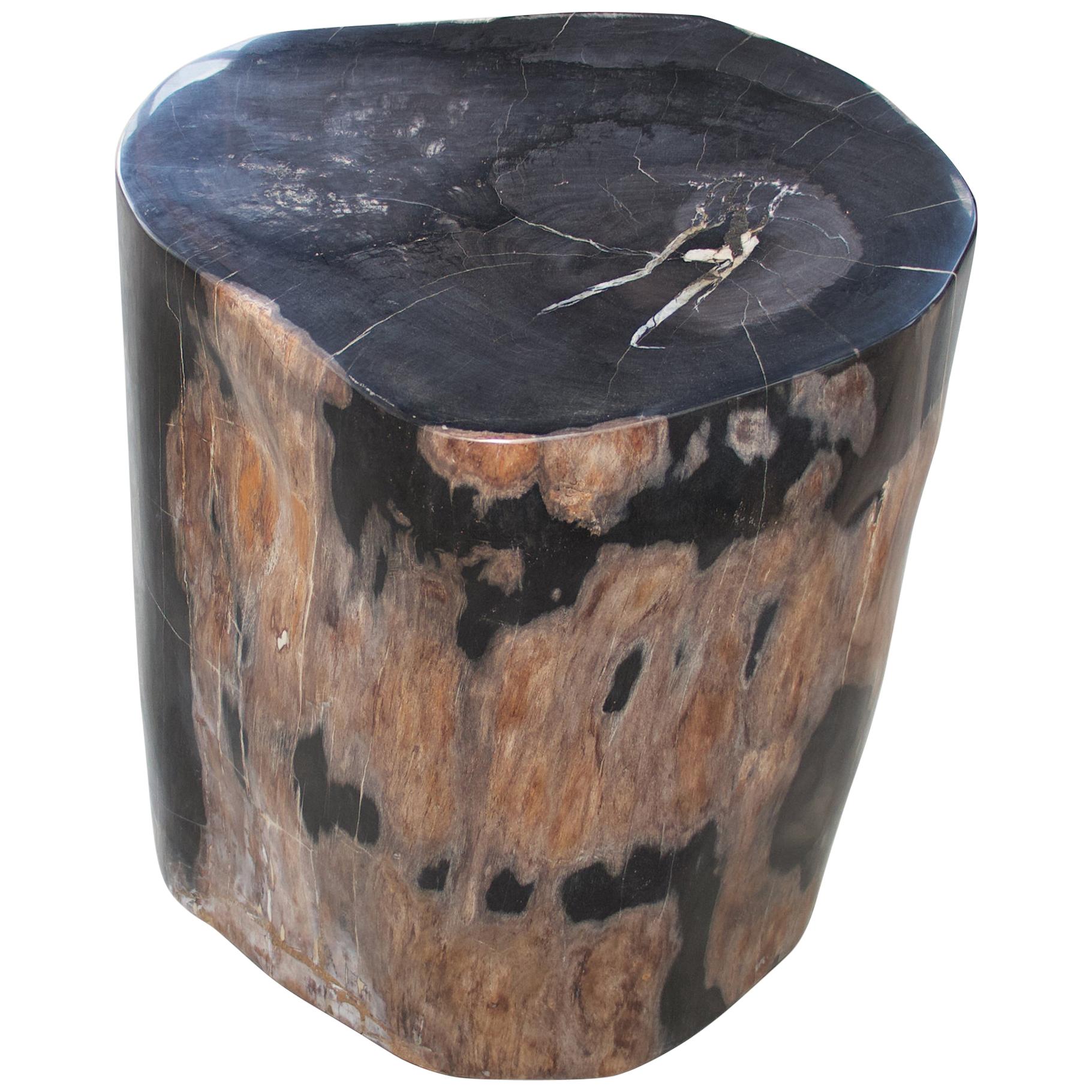 Andrianna Shamaris High Quality Petrified Wood Side Table