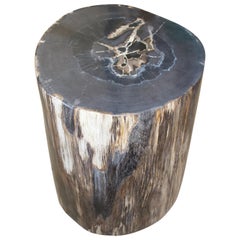 Antique Andrianna Shamaris High Quality Petrified Wood Side Table