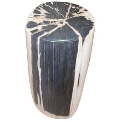 Andrianna Shamaris High Quality Petrified Wood Side Table Andrianna Shamaris High Quality Petrified Wood Side Table