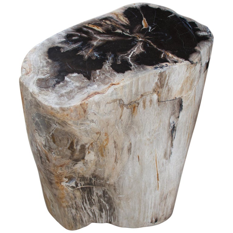 Andrianna Shamaris High Quality Petrified Wood Side Table at 1stDibs |  petrified wood end table, petrified wood side tables, petrified wood  furniture