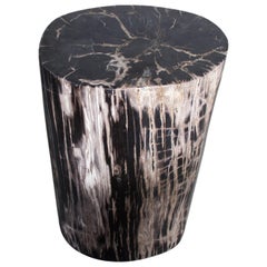Antique Andrianna Shamaris High Quality Petrified Wood Side Table