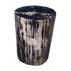 Antique Andrianna Shamaris High Quality Petrified Wood Side Table