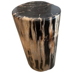 Antique Andrianna Shamaris High Quality Petrified Wood Side Table