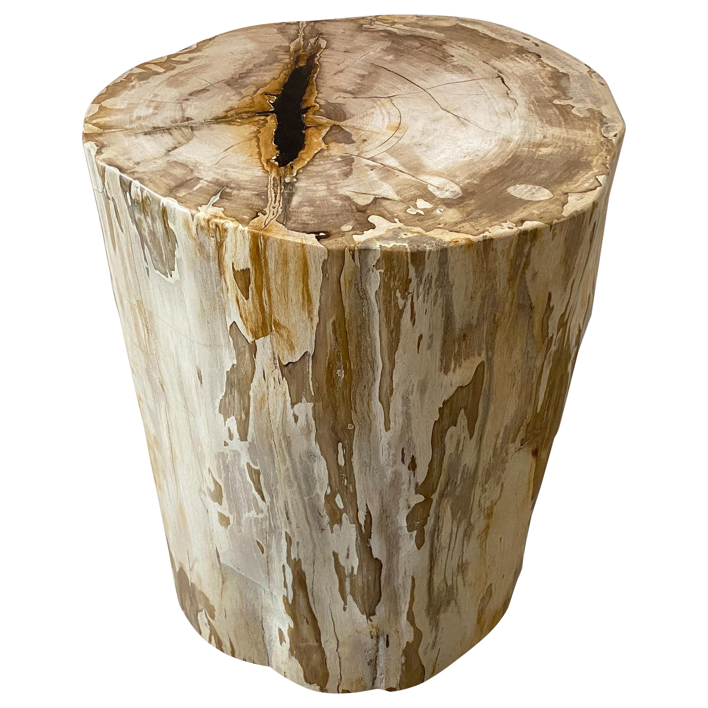 Andrianna Shamaris High Quality Petrified Wood Side Table