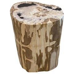 Andrianna Shamaris High Quality Petrified Wood Side Table