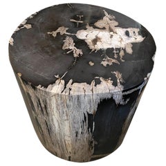 Andrianna Shamaris High Quality Petrified Wood Side Table