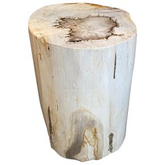 Andrianna Shamaris High Quality Petrified Wood Side Table