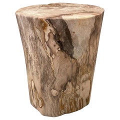 Antique Andrianna Shamaris High Quality Petrified Wood Side Table