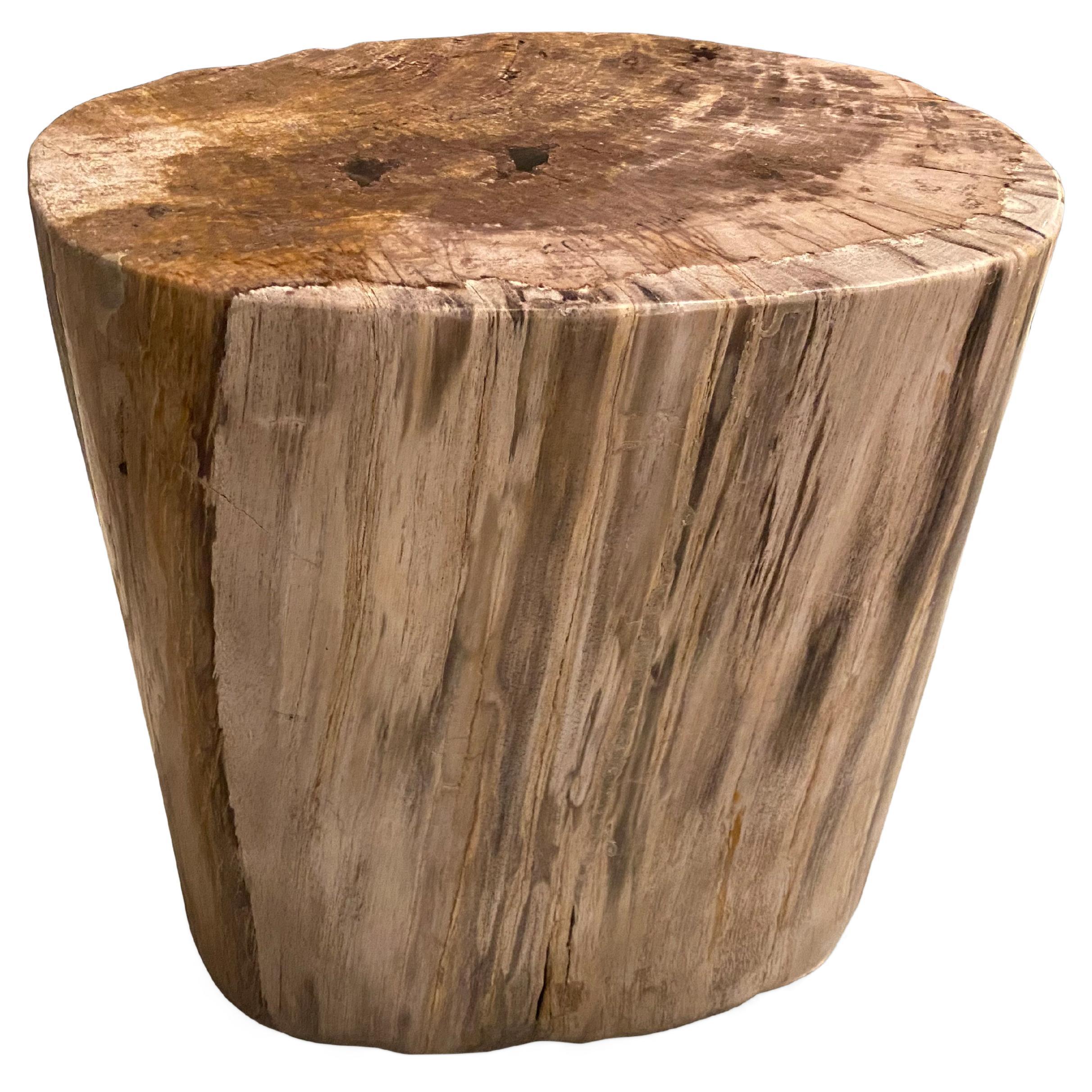 Andrianna Shamaris Minimalist High Quality Petrified Wood Side Table at