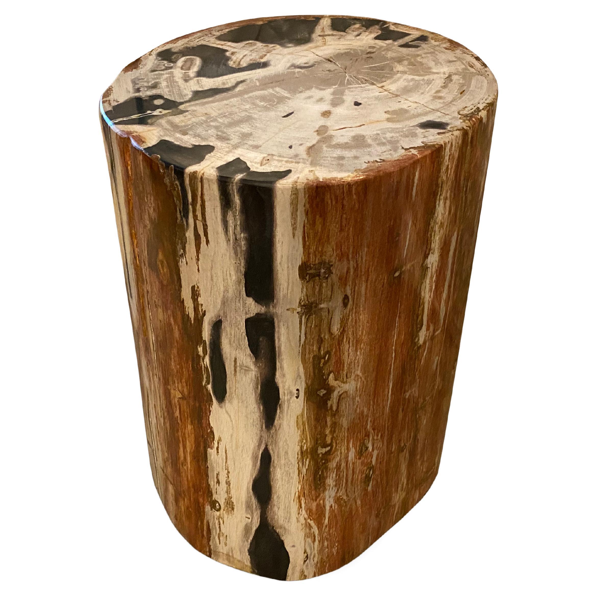 Andrianna Shamaris High Quality Petrified Wood Side Table