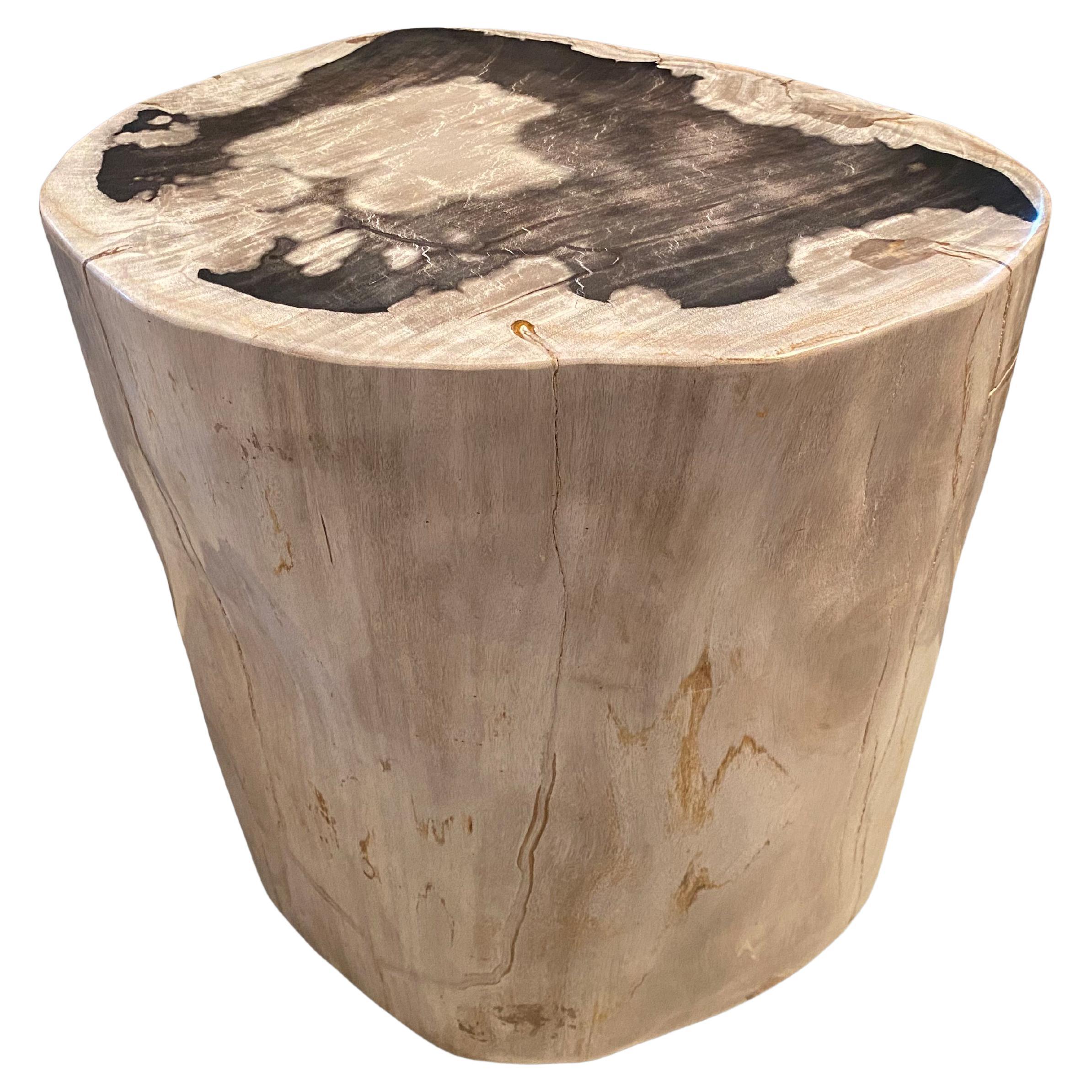 Andrianna Shamaris High Quality Petrified Wood Side Table