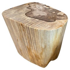 Table d'appoint Andrianna Shamaris en bois pétrifié de haute qualité