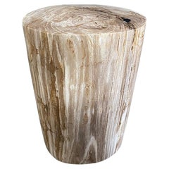 Andrianna Shamaris High Quality Petrified Wood Side Table