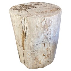 Andrianna Shamaris High Quality Petrified Wood Side Table
