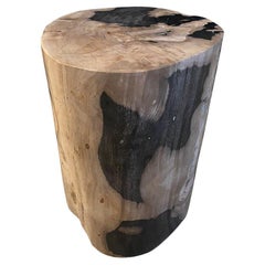 Antique Andrianna Shamaris High Quality Petrified Wood Side Table