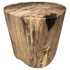 Table d'appoint Andrianna Shamaris en bois pétrifié de haute qualité