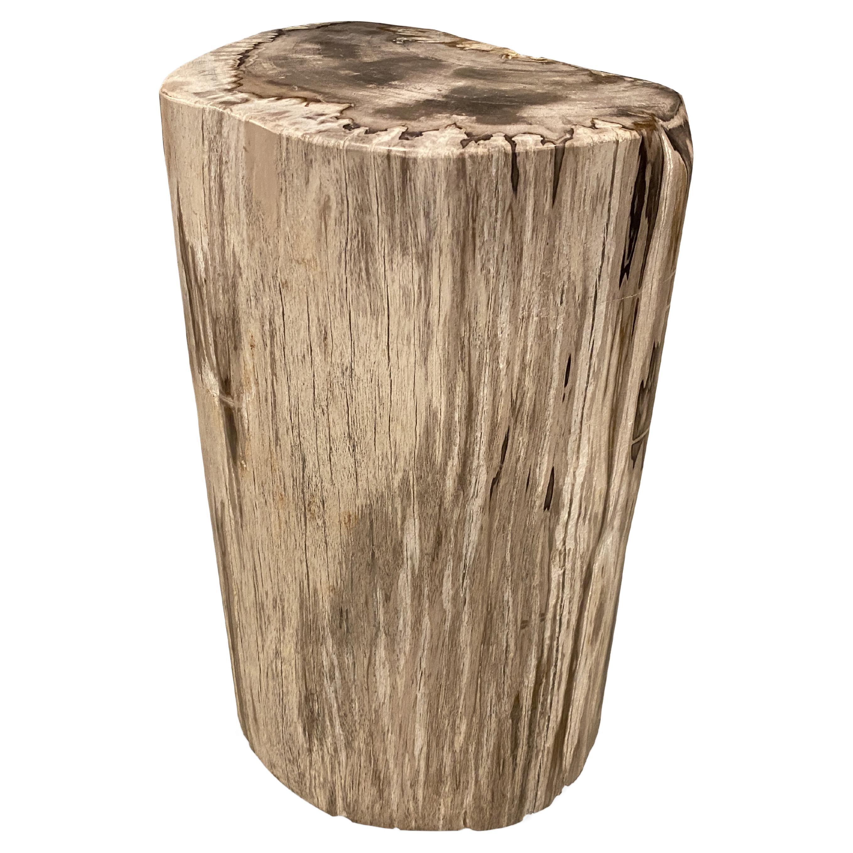 Andrianna Shamaris High Quality Petrified Wood Side Table