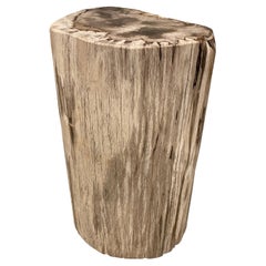 Andrianna Shamaris High Quality Petrified Wood Side Table