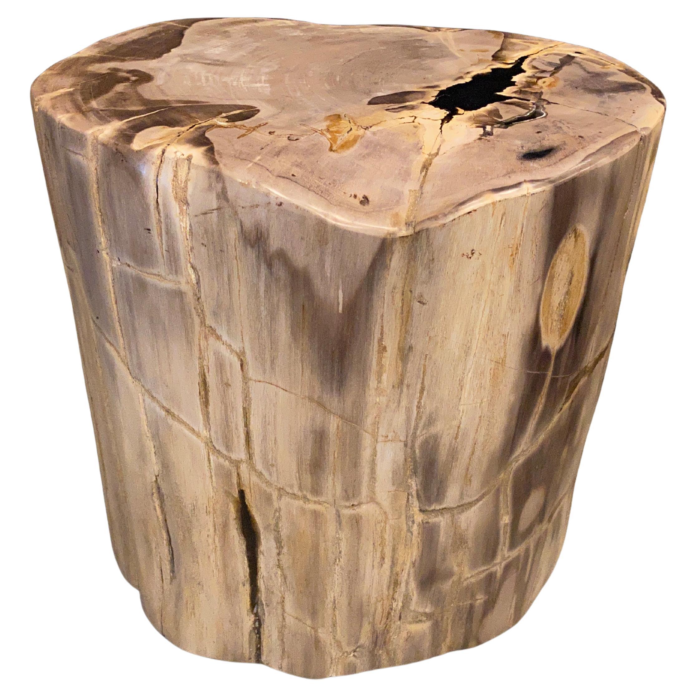 Andrianna Shamaris High Quality Petrified Wood Dining Table For Sale at