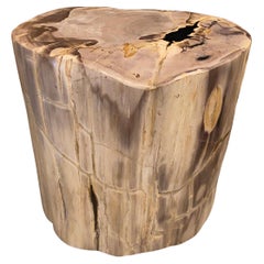 Andrianna Shamaris High Quality Petrified Wood Side Table Andrianna Shamaris High Quality Petrified Wood Side Table