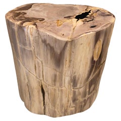 Andrianna Shamaris High Quality Petrified Wood Side Table