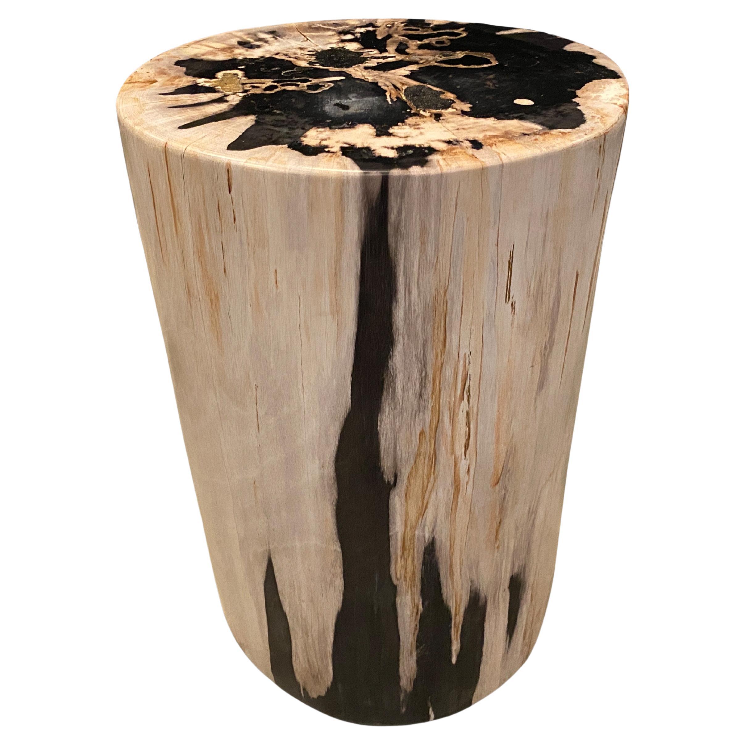 Andrianna Shamaris High Quality Petrified Wood Side Table For Sale at