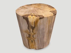 Andrianna Shamaris High Quality Petrified Wood Side Table