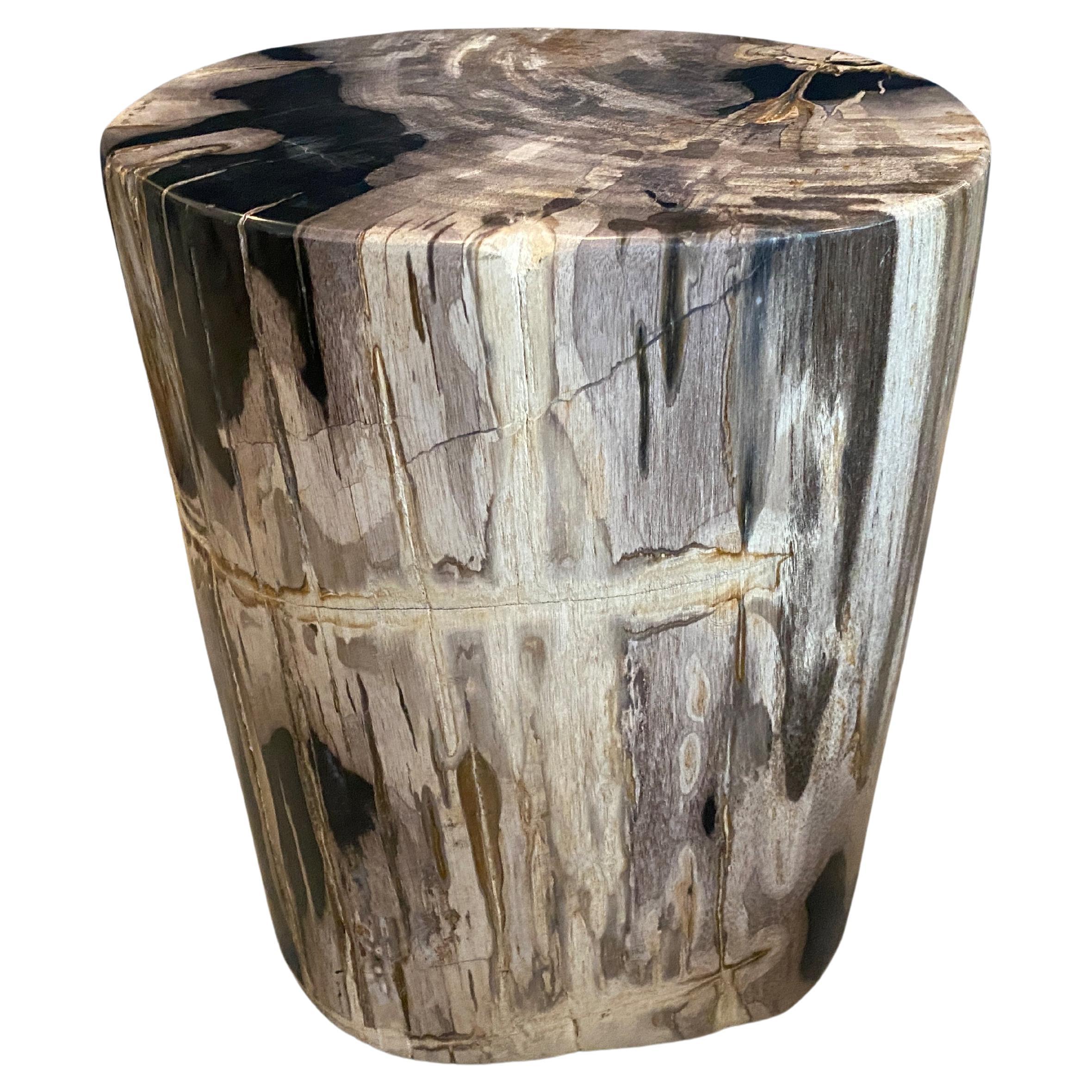 Andrianna Shamaris High Quality Petrified Wood Side Table at 1stDibs