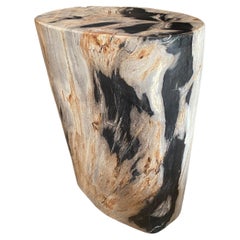 Andrianna Shamaris High Quality Petrified Wood Side Table 