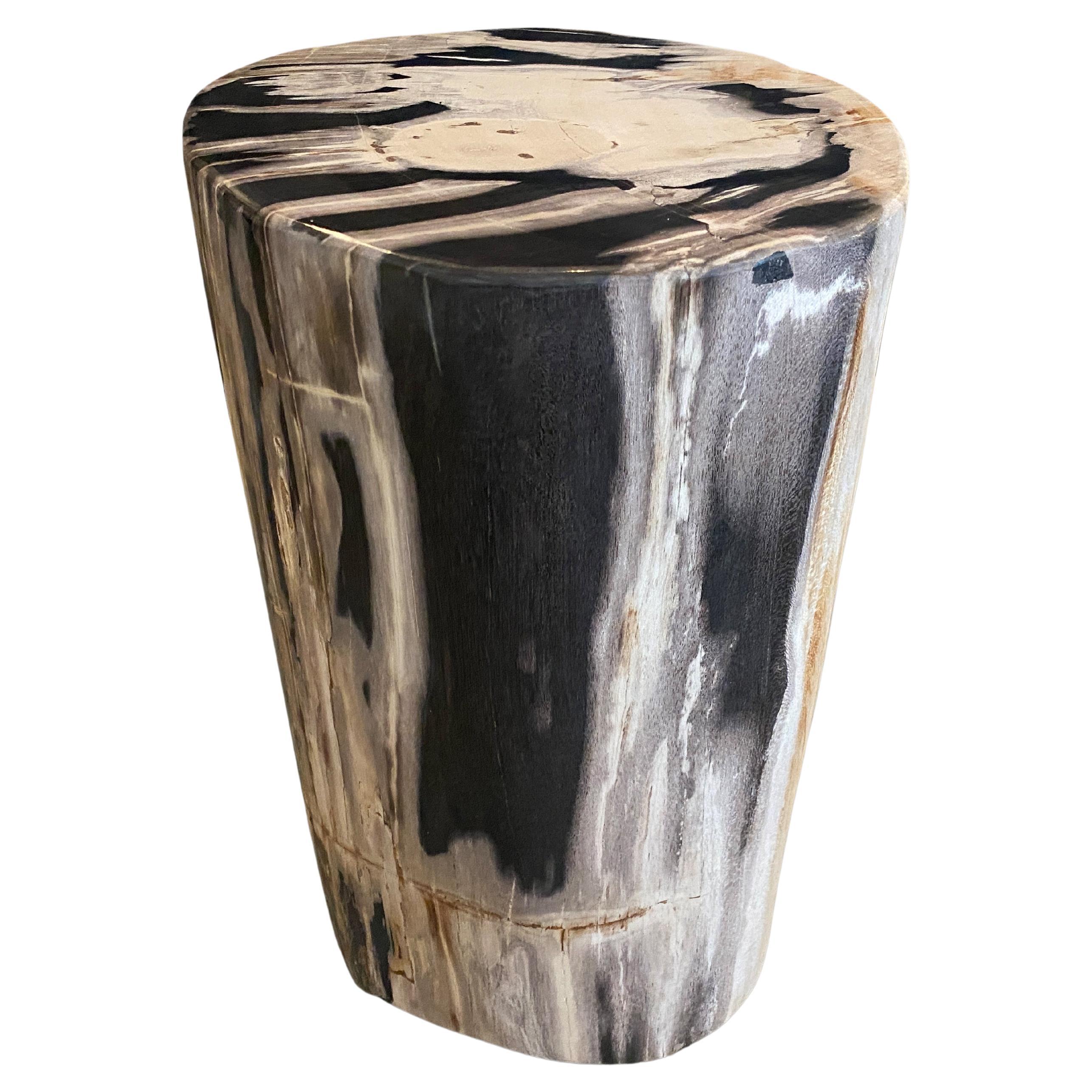 Andrianna Shamaris High Quality Petrified Wood Side Table at 1stDibs