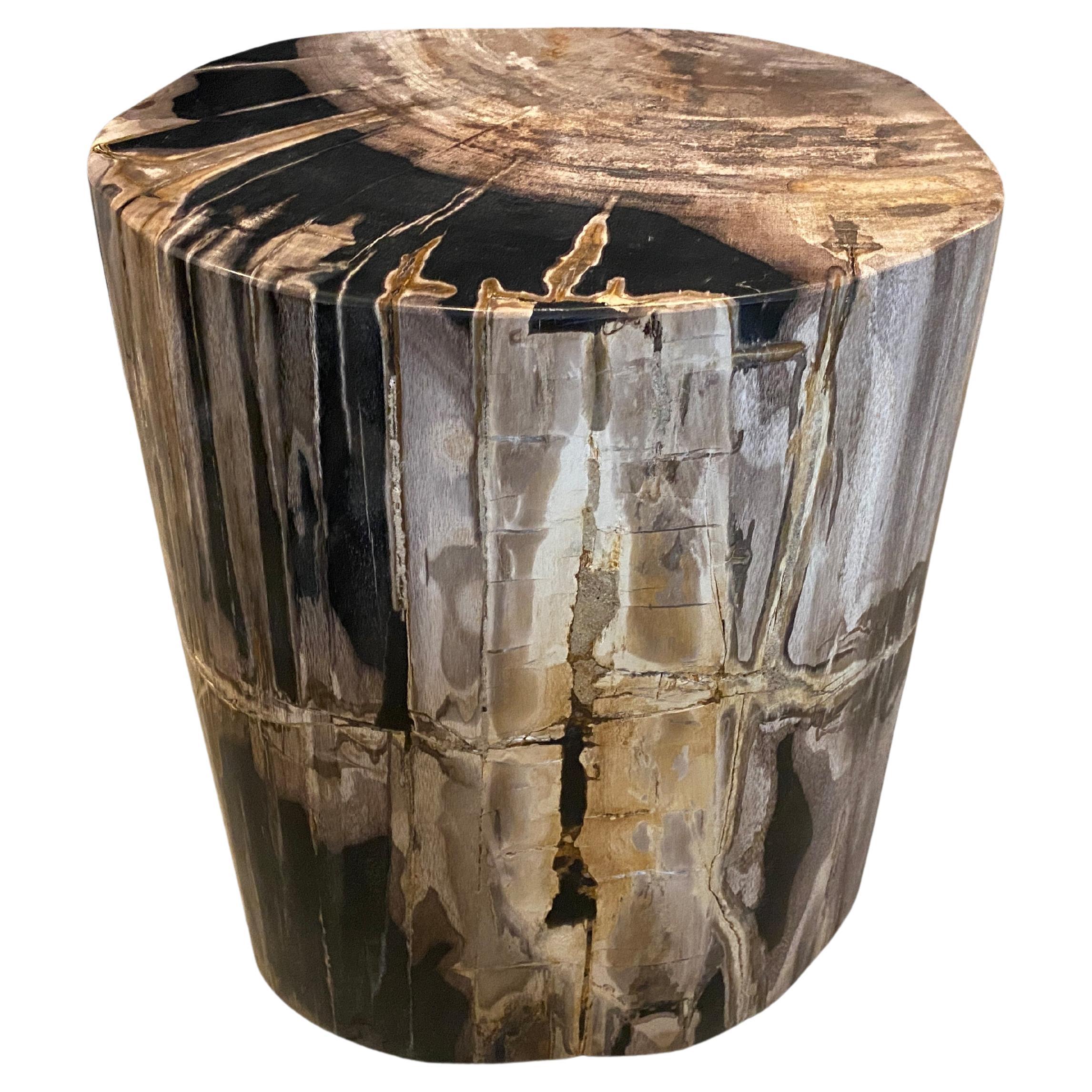 Andrianna Shamaris High Quality Petrified Wood Side Table at 1stDibs