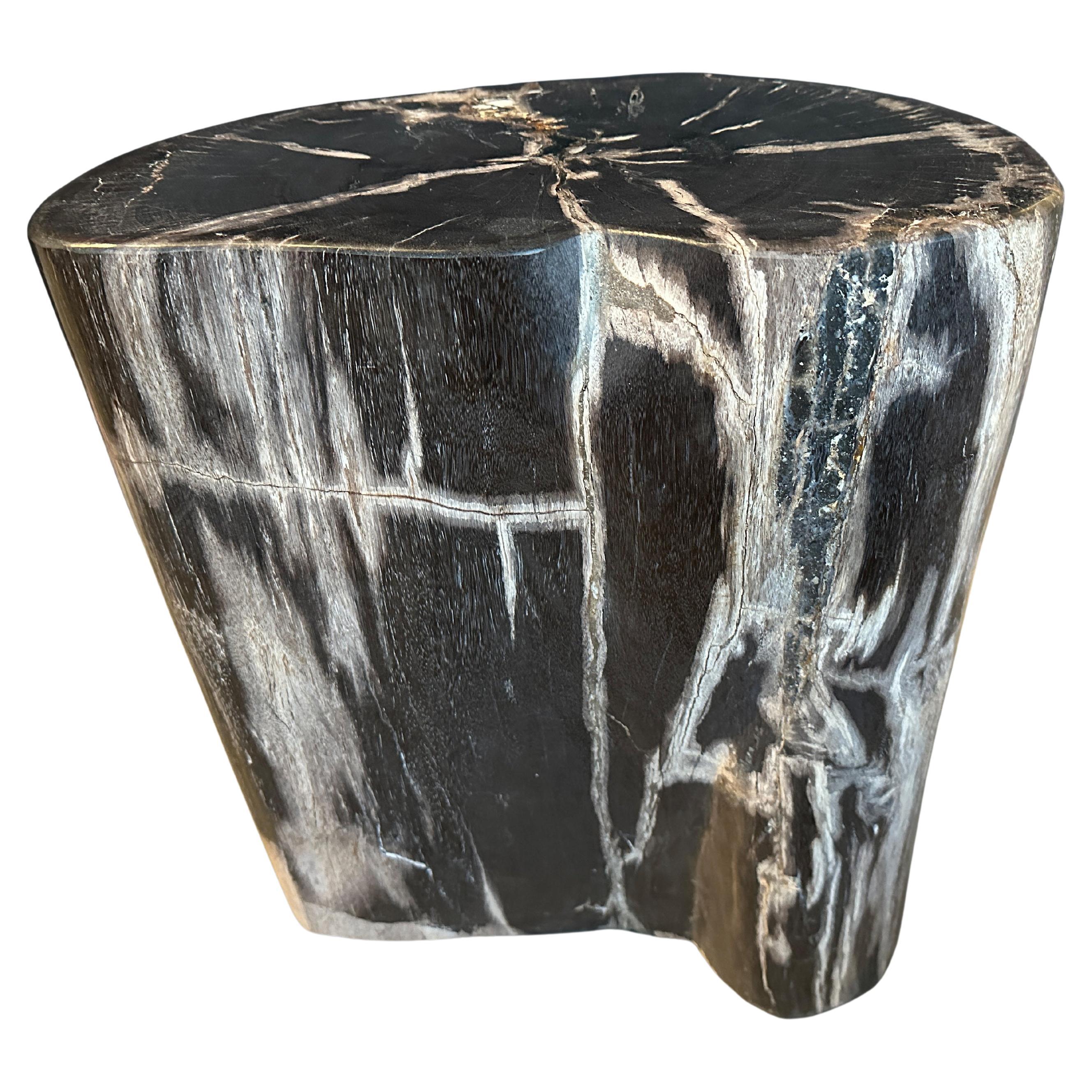 Andrianna Shamaris High Quality Petrified Wood Side Table