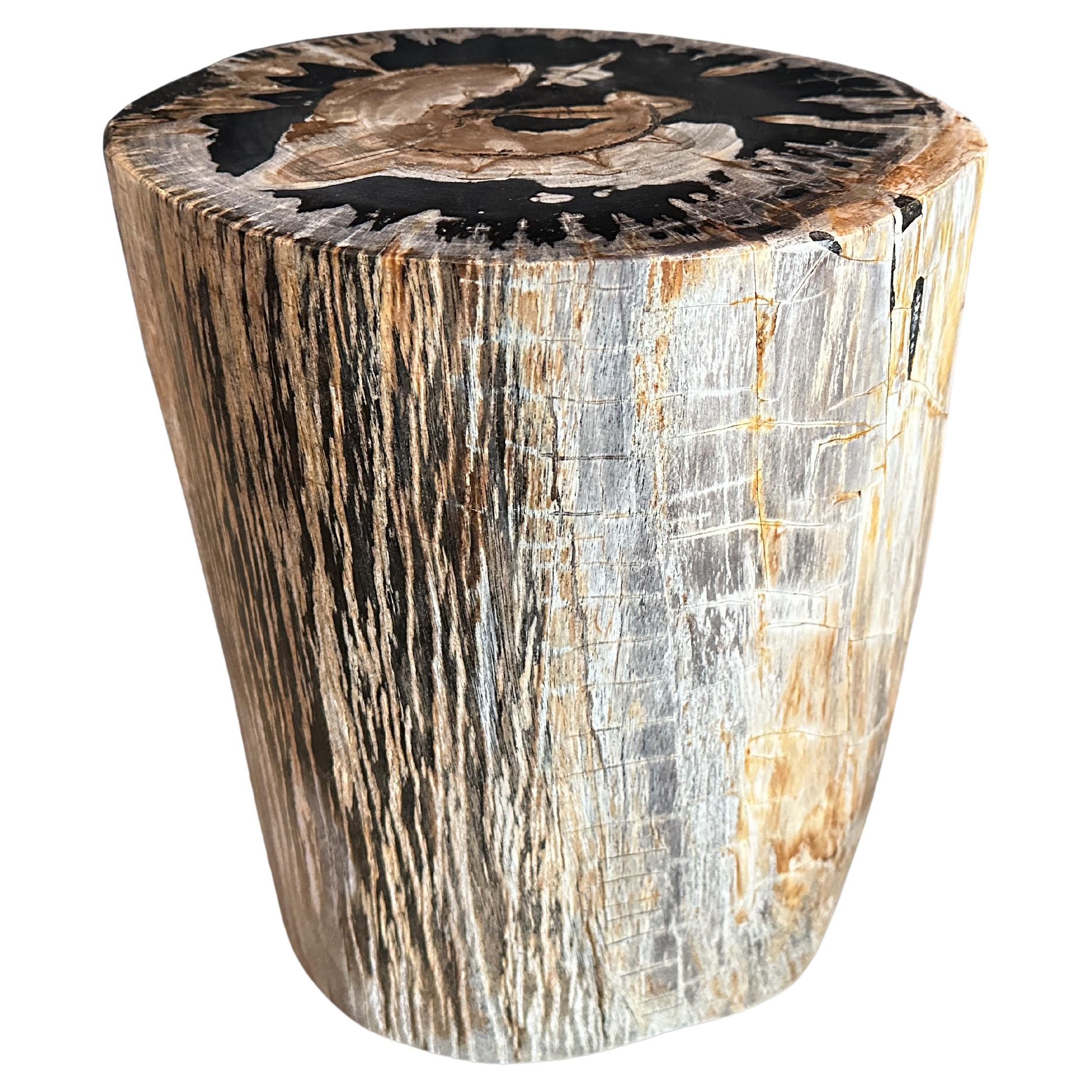 Andrianna Shamaris High Quality Petrified Wood Side Table For Sale