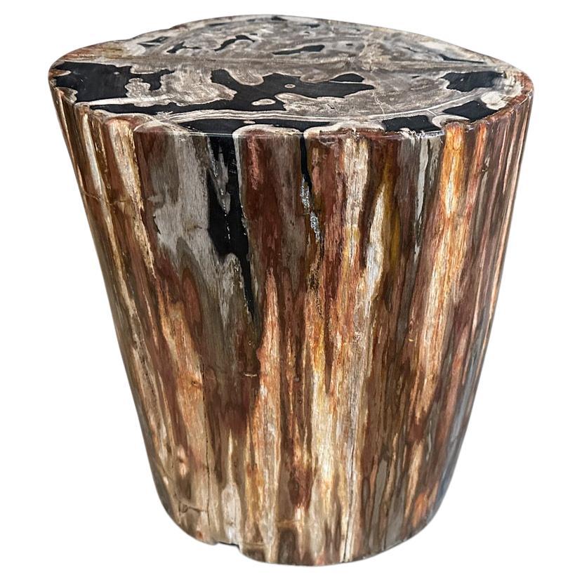 Andrianna Shamaris High Quality Petrified Wood Side Table