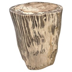 Andrianna Shamaris High Quality Petrified Wood Side Table
