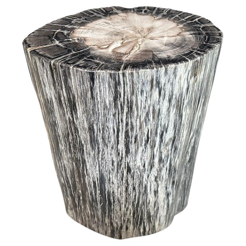Petrified Wood Side Tables 212 For Sale at 1stDibs petrified wood