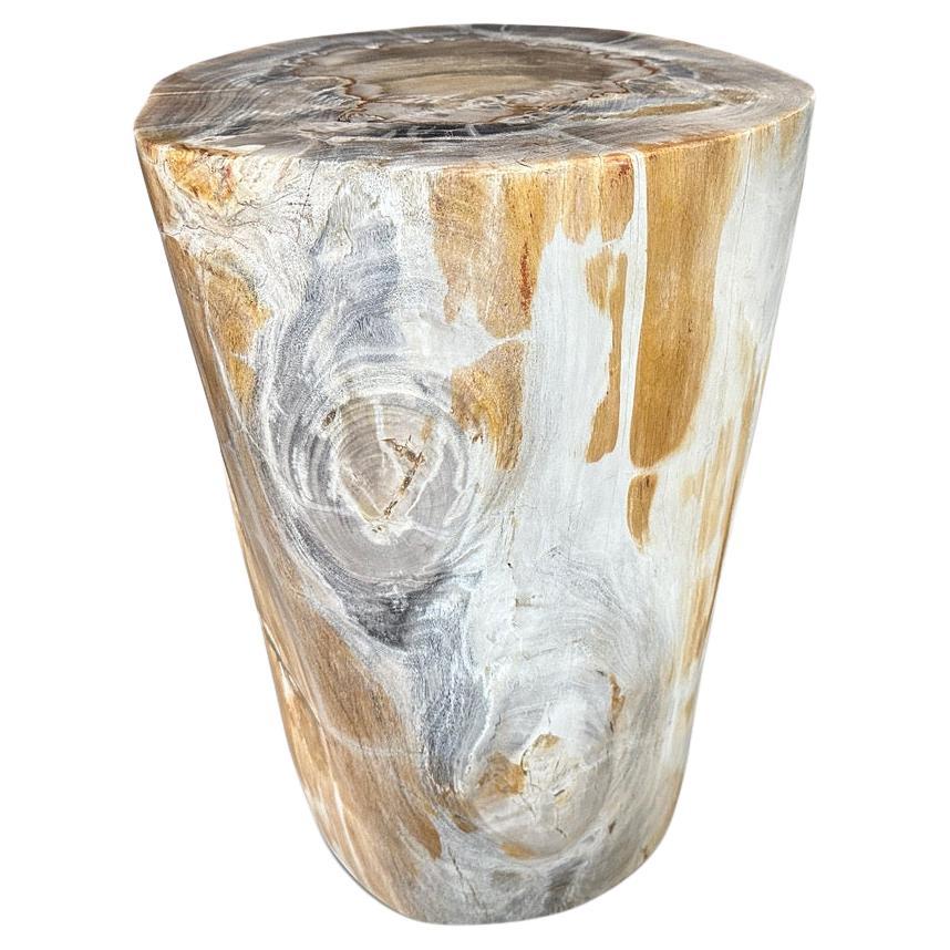 Andrianna Shamaris High Quality Petrified Wood Side Table For Sale