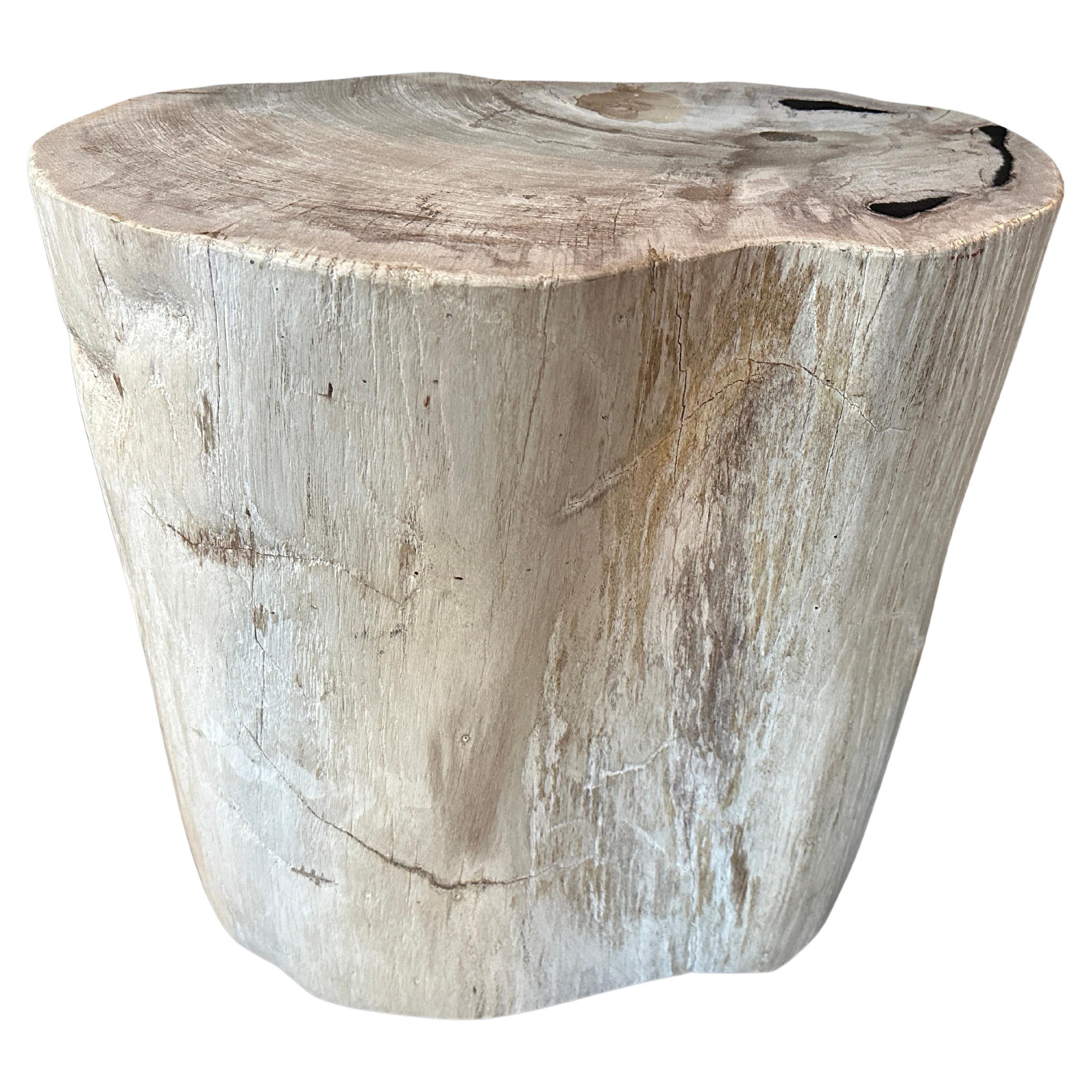 Petrified Wood Side Tables 212 For Sale at 1stDibs petrified wood