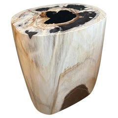 Andrianna Shamaris High Quality Petrified Wood Side Table 