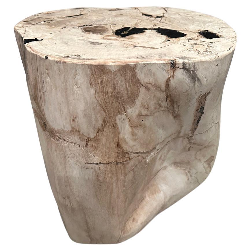 Andrianna Shamaris High Quality Petrified Wood Side Table 