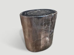 Andrianna Shamaris High Quality Petrified Wood Side Table