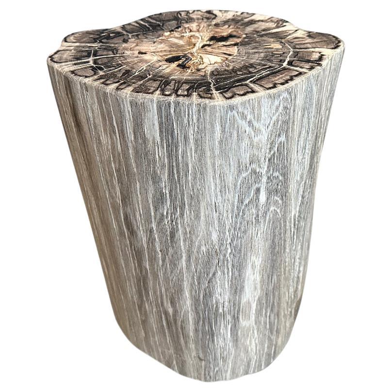 Andrianna Shamaris High Quality Petrified Wood Side Table