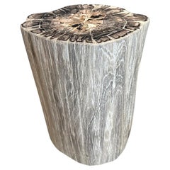 Andrianna Shamaris High Quality Petrified Wood Side Table 