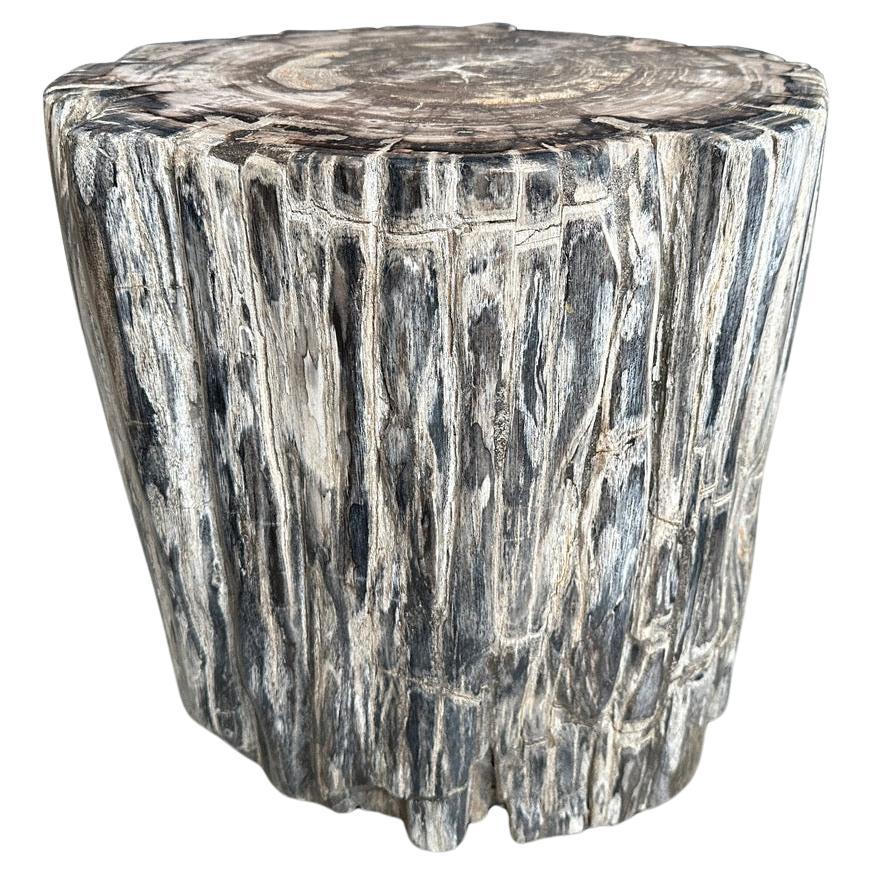 Andrianna Shamaris High Quality Petrified Wood Side Table